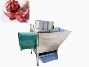 Garlic Peeling Machine BD