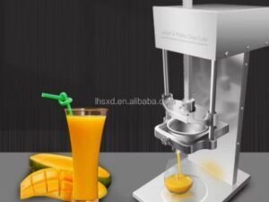 Electric Orange Juicer